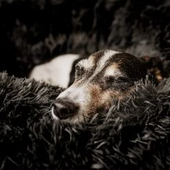 District 70 FUZZ - Hondenmand Comfortabel En Zacht Pluche - Zand, Oudroze, Donkergrijs En Lichtgrijs In S/M/L/XL - Maat: Medium, Kleur: Zand -Pet Care Verkoop 1200x1200 1178