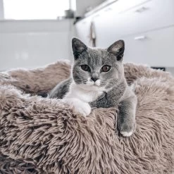 District 70 FUZZ - Hondenmand Comfortabel En Zacht Pluche - Zand, Oudroze, Donkergrijs En Lichtgrijs In S/M/L/XL - Maat: Medium, Kleur: Zand -Pet Care Verkoop 1200x1200 1181