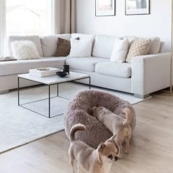 District 70 FUZZ - Hondenmand Comfortabel En Zacht Pluche - Zand, Oudroze, Donkergrijs En Lichtgrijs In S/M/L/XL - Maat: Medium, Kleur: Zand -Pet Care Verkoop 1200x1200 1182