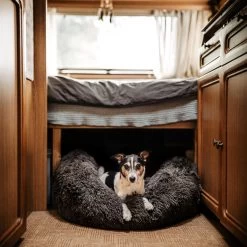 District 70 FUZZ - Hondenmand Comfortabel En Zacht Pluche - Zand, Oudroze, Donkergrijs En Lichtgrijs In S/M/L/XL - Maat: Medium, Kleur: Zand -Pet Care Verkoop 1200x1200 1184