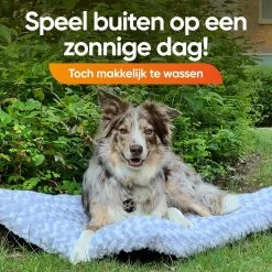 Happysnoots Hondenkussen 70 X 50cm - Hondenbed - Donut Dog Bed - Fluffy - Grijs - Wasbaar -Pet Care Verkoop 1200x1200 1188
