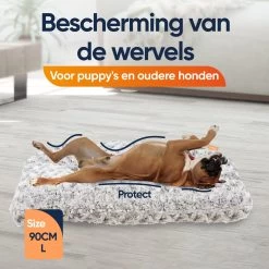 Happysnoots Hondenkussen 70 X 50cm - Hondenbed - Donut Dog Bed - Fluffy - Grijs - Wasbaar -Pet Care Verkoop 1200x1200 1193