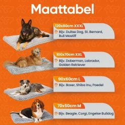 Happysnoots Hondenkussen 70 X 50cm - Hondenbed - Donut Dog Bed - Fluffy - Grijs - Wasbaar -Pet Care Verkoop 1200x1200 1199