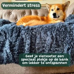 Premium Hondendeken Bank - Hondenkussens - Hondenmand Bank - Hondendeken Voor Op De Bank - Bankbeschermer - Donkergrijs -Pet Care Verkoop 1200x1200 1204