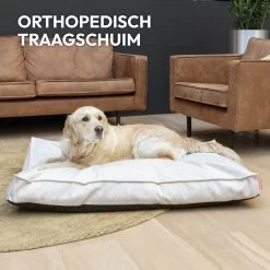 Snoozle Orthopedische Hondenmand - Zacht En Luxe Hondenkussen - Hondenbed - Wasbaar - Hondenmanden - 120 X 90 Cm - Groen 20 Snoozle Orthopedische Hondenmand - Zacht En Luxe Hondenkussen - Hondenbed - Wasbaar - Hondenmanden - 120 X 90 Cm - Groen -Pet Care Verkoop 1200x1200 1223