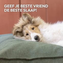 Snoozle Orthopedische Hondenmand - Zacht En Luxe Hondenkussen - Hondenbed - Wasbaar - Hondenmanden - 120 X 90 Cm - Groen 22 Snoozle Orthopedische Hondenmand - Zacht En Luxe Hondenkussen - Hondenbed - Wasbaar - Hondenmanden - 120 X 90 Cm - Groen -Pet Care Verkoop 1200x1200 1224