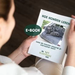 De Blaffende Kat Wasdrogerbollen - Droger Ballen - Huisdier Haarverwijderaar - 4 Wasbollen Voor Wasmachine En Droger -Pet Care Verkoop 1200x1200 123