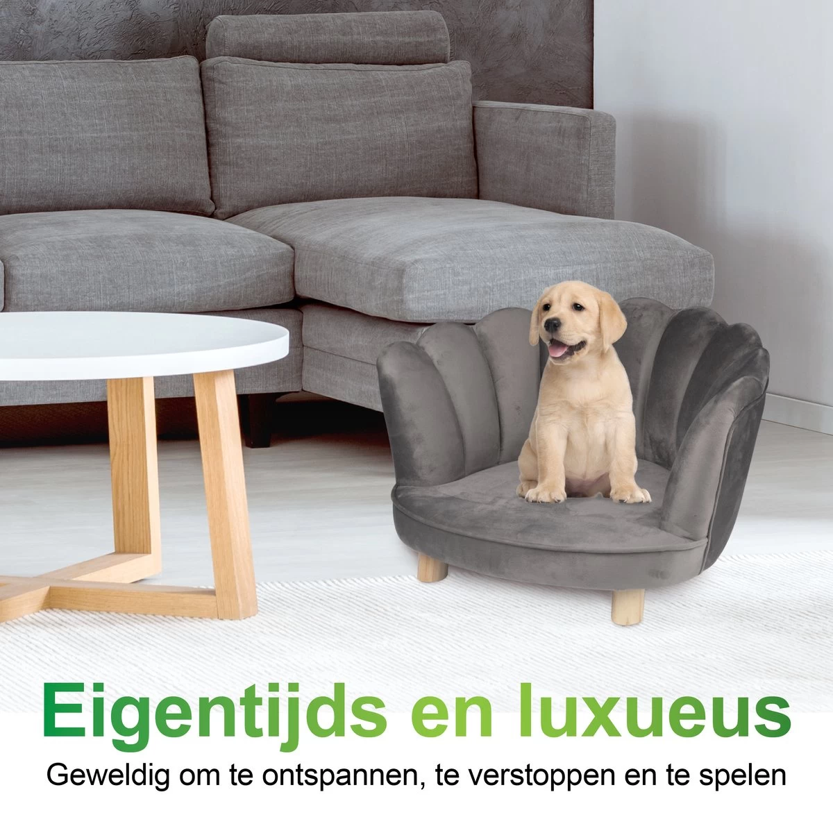 Maxxpro Katten- En Hondenstoel - Grijs - Verhoogd Met Houten Poten - Fluweel Materiaal - 61.5 X 52 X 33 CM - Huisdieren Tot 80 KG 5 Maxxpro Katten- En Hondenstoel - Grijs - Verhoogd Met Houten Poten - Fluweel Materiaal - 61.5 X 52 X 33 CM - Huisdieren Tot 80 KG - Afbeelding 5