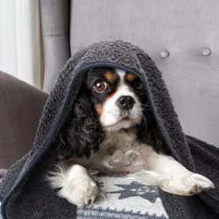 Nobleza 40UWK Hondendeken - Dierenmat - Benchkleed - 120x100cm - Grijs -Pet Care Verkoop 1200x1200 1263