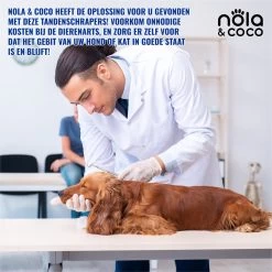 Nola & Coco® Tandsteen Verwijderaar Set Inclusief Bewaardoosje - Tandenkrabber - Set Van Twee - Hond - Kat - Tandenborstel - Tandplak Verwijderen - Tandenstoker - Honden Tanden Schoonmaken - Tandenhaakje - Gebitsreiniging -Pet Care Verkoop 1200x1200 1291