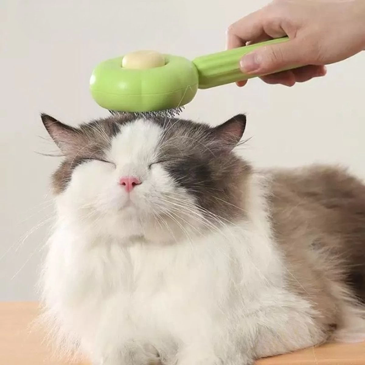 QT Petshop - Haarverwijderaar Voor Huisdieren - Groene Kattenborstel - Furminator Hondenborstel - Anti-Klit - Diervriendelijk - Dierenverzorging 5 QT Petshop - Haarverwijderaar Voor Huisdieren - Groene Kattenborstel - Furminator Hondenborstel - Anti-Klit - Diervriendelijk - Dierenverzorging - Afbeelding 5