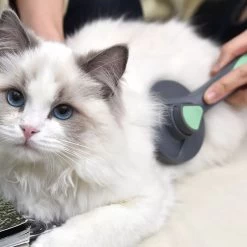 Pakeway Kattenborstel – Hondenborstel – Haarverwijderaar Voor Huisdieren – Kattenkam - Kortharig - Langharig - Inclusief Ebook! -Pet Care Verkoop 1200x1200 231