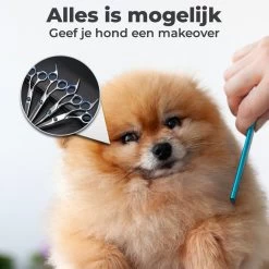 VoordeelShop 7-Delige Huisdier Knipset Met Etui - Trimmen Hond - Honden Schaar - Effileerschaar Hond - Huisdier Trimmer - Huisdier Knippen - Knipschaar Haar - Haar Schaar - Kapper - Kapperset - Scharenset -Pet Care Verkoop 1200x1200 267