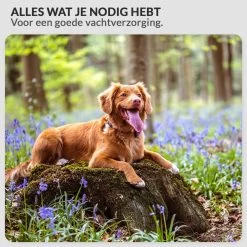 Krachtige Hondenföhn/ Waterblazer Met Draaiknop Om Overtollig Water En Stof Snel Uit De Vacht Te Blazen | Verstelbare Vermogen Standen (500W Tot 2200W) En Verstelbare Temperatuur - Type B Oranje -Pet Care Verkoop 1200x1200 280