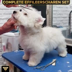 Toivo Schaar Voor Dieren - Zilver - Effileerscharen - Honden Scharenset - Dierenschaar - Set 5 Stuks - Trimscharen - Trimset - Uitdunschaar Hond - Schaar Honden 11 Toivo Schaar Voor Dieren - Zilver - Effileerscharen - Honden Scharenset - Dierenschaar - Set 5 Stuks - Trimscharen - Trimset - Uitdunschaar Hond - Schaar Honden -Pet Care Verkoop 1200x1200 295