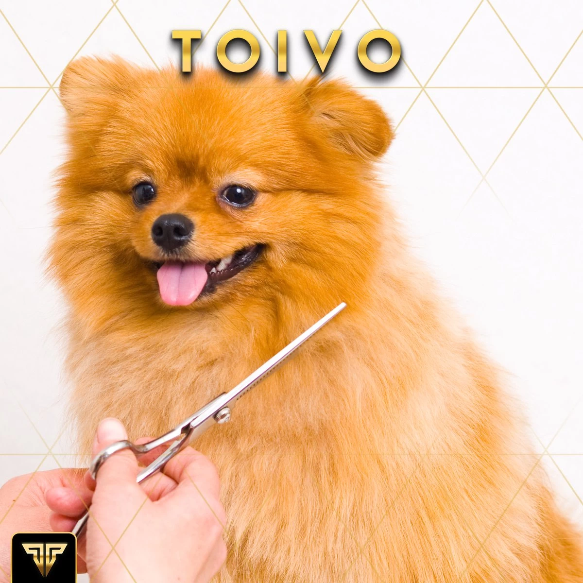 Toivo Schaar Voor Dieren - Zilver - Effileerscharen - Honden Scharenset - Dierenschaar - Set 5 Stuks - Trimscharen - Trimset - Uitdunschaar Hond - Schaar Honden 7 Toivo Schaar Voor Dieren - Zilver - Effileerscharen - Honden Scharenset - Dierenschaar - Set 5 Stuks - Trimscharen - Trimset - Uitdunschaar Hond - Schaar Honden - Afbeelding 7