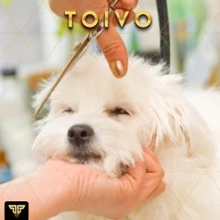 Toivo Schaar Voor Dieren - Zilver - Effileerscharen - Honden Scharenset - Dierenschaar - Set 5 Stuks - Trimscharen - Trimset - Uitdunschaar Hond - Schaar Honden 16 Toivo Schaar Voor Dieren - Zilver - Effileerscharen - Honden Scharenset - Dierenschaar - Set 5 Stuks - Trimscharen - Trimset - Uitdunschaar Hond - Schaar Honden -Pet Care Verkoop 1200x1200 300