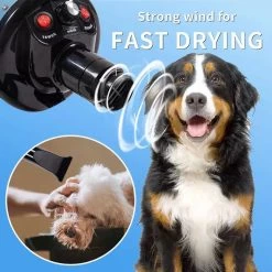 Merkloos Edward&DeVries Professionele Hondenföhn Met 4 Opzetstukken – Waterblazer Voor Honden – Stil Design – Krachtig + Extra Filter & Droogdoek - Blauw -Pet Care Verkoop 1200x1200 318