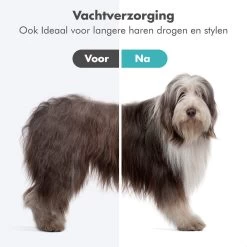 BURCH PetCare Ace - Waterblazer Voor Honden - Handzame Hondenföhn - RVS Borstel - 500W -Pet Care Verkoop 1200x1200 335