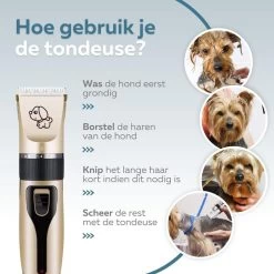 BYER Professionele Dieren Tondeuse Set - Voor Huisdieren Katten & Honden - Draadloos - Oplaadbare Pet Trimmer - Dog Tondeuze Clipper - 5 Standen & Vier Opzetkammen - Low Noise -Pet Care Verkoop 1200x1200 401