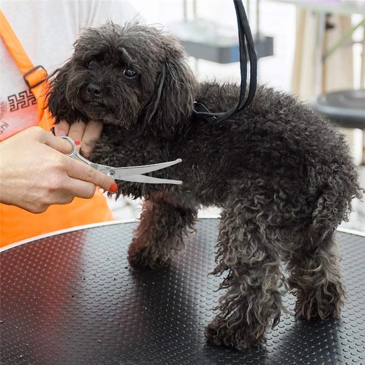 Merkloos Premium Gebogen Trimschaar Honden - Huisdier Trimmen - Hoofd, Poten Ogen & Oren - Kat & Hond Knippen - Veilige Schaar 3 Merkloos Premium Gebogen Trimschaar Honden - Huisdier Trimmen - Hoofd, Poten Ogen & Oren - Kat & Hond Knippen - Veilige Schaar - Afbeelding 3