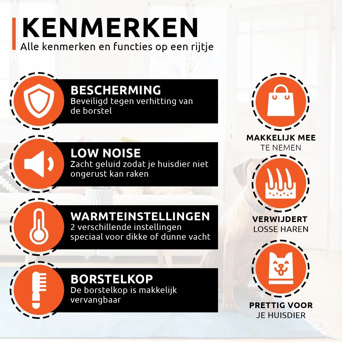 PetGoods 2-in-1 Hondenföhn – Föhn & Borstel - Honden & Katten - Low Noise 2 PetGoods 2-in-1 Hondenföhn – Föhn & Borstel - Honden & Katten - Low Noise - Afbeelding 2