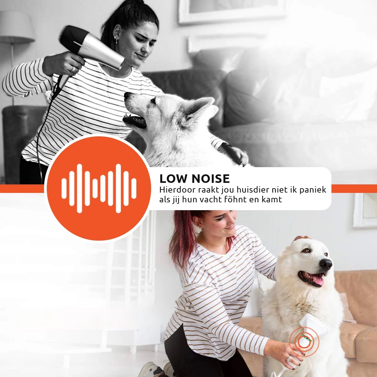 PetGoods 2-in-1 Hondenföhn – Föhn & Borstel - Honden & Katten - Low Noise 6 PetGoods 2-in-1 Hondenföhn – Föhn & Borstel - Honden & Katten - Low Noise - Afbeelding 6