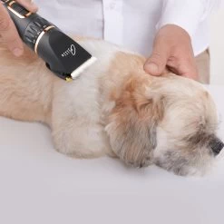 Tjilla Professionele Dieren/honden Tondeuse Set Extra Krachtig - Honden Trimmer - Lang Of Kortharige Huisdieren Katten & Honden - Draadloos - Weinig Geluid -Pet Care Verkoop 1200x1200 42