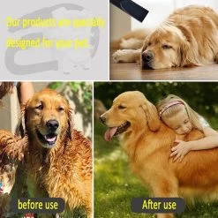 Hondenfohn - Waterblazer Met Draaiknop - 2400W Vermogen Met Warme En Koude Stand - Wit -Pet Care Verkoop 1200x1200 426