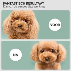 Hondenföhn/Waterblazer - Verstelbare Vermogen Standen (500W Tot 2400W) En Verstelbare Temperatuur - Zwart -Pet Care Verkoop 1200x1200 440