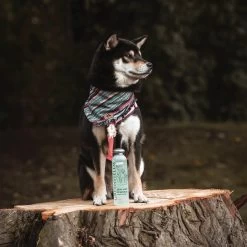 Greenfields - Krachtige Hondenshampoo Met Aloe Vera - Inhoud 270 Ml Of 5 L - 270 Ml -Pet Care Verkoop 1200x1200 448