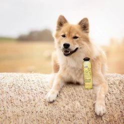 Greenfields Hondenshampoo Voor Langharige Vacht - Zorgt Voor Een Zijdezachte Glanzende Vacht - Inhoud 270 Ml - Hondenshampoo Langharige Vacht -Pet Care Verkoop 1200x1200 456