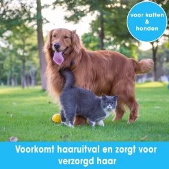 Professionele Ondervacht Kam Voor Hond En Kat S – Hondenborstel – Kattenborstel - Hondenkam –Anti Klit - Haarverwijderaar Voor Huisdieren - Pijnloos - Huisdiervriendelijk – Klittenkam - Voorkomt Haaruitval - Kleine Variant- Black Friday - Sinterklaas -Pet Care Verkoop 1200x1200 490