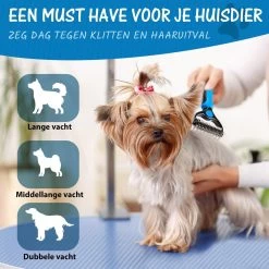 Hoogwaardige 2-Zijdige Hondenkam Hondenborstel Borstel Hond Klittenkam - Ondervacht Kam - Honden Borstel - Honden Kam - Hondenborstel Langharig - Hondenborstel Kortharig - Verwijdert Klitten - Voorkomt Verharing - Blauw - Woodoro -Pet Care Verkoop 1200x1200 504