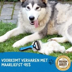Hoogwaardige 2-Zijdige Hondenkam Hondenborstel Borstel Hond Klittenkam - Ondervacht Kam - Honden Borstel - Honden Kam - Hondenborstel Langharig - Hondenborstel Kortharig - Verwijdert Klitten - Voorkomt Verharing - Blauw - Woodoro -Pet Care Verkoop 1200x1200 505