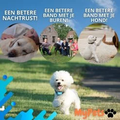 MyPets™ Anti-blafband - Anti Blaf Apparaat - Voor Kleine Honden En Grote Honden - Diervriendelijk - Opvoedingshalsband - Trainingshalsband - 2022/2023 Versie - Inclusief Batterijen -Pet Care Verkoop 1200x1200 558
