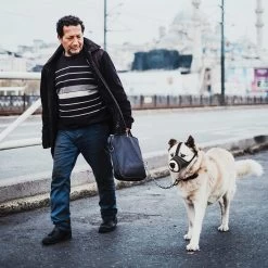 Merkloos Hoog Kwaliteit Muilkorf Met Bedrukt Patroon - Muilkorf Hond - Hondensnuit - Anti Blaf En Bijt - Voor Kleine En Grote Honden Maat M Zwart Reflecterend -Pet Care Verkoop 1200x1200 565