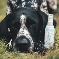 Hondenparfum Spray In 4 Geuren - Greenfields - Alchoholvrije En PH Neutrale Formule Tegen Onaangename Geurtjes - 50ml - Exotic -Pet Care Verkoop 1200x1200 57
