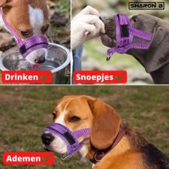 Sharon-B Muilkorf Turquoise Maat S - Fleece - Reflecterend - Kleine Hond -Pet Care Verkoop 1200x1200 570