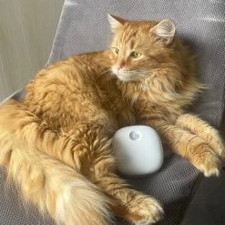 Pettadore Air Insight - Kattenbak Geurverdrijver & Teller - Actieve Zuurstof En Ionen - Oplaadbaar - Met App -Pet Care Verkoop 1200x1200 587