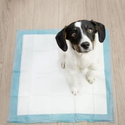 Springos Puppy Training Pads| Plasmatjes Hond | Zindelijkheidstraining | 10 Stuks | 35 X 45 Cm -Pet Care Verkoop 1200x1200 589