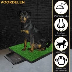 Toivo HondenToilet Kunstgras - Zwart - Geurafstotend - 62 X 49 X 6.6 CM - Honden Wc Outdoor - Zindelijkheidstraining Hond - Puppy Pads - Dierentoilet 12 Toivo HondenToilet Kunstgras - Zwart - Geurafstotend - 62 X 49 X 6.6 CM - Honden Wc Outdoor - Zindelijkheidstraining Hond - Puppy Pads - Dierentoilet -Pet Care Verkoop 1200x1200 618