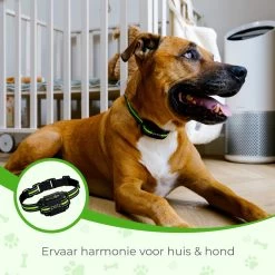 Petz - Anti Blafband - Anti Blafband Voor Kleine En Grote Honden - 5-55 KG - Vibratie En Audio - Diervriendelijk - GEEN Schokken - Opvoedingshalsband Zonder Schok En Diervriendelijk - Waterdicht - Oplaadbaar 11 Petz - Anti Blafband - Anti Blafband Voor Kleine En Grote Honden - 5-55 KG - Vibratie En Audio - Diervriendelijk - GEEN Schokken - Opvoedingshalsband Zonder Schok En Diervriendelijk - Waterdicht - Oplaadbaar -Pet Care Verkoop 1200x1200 627