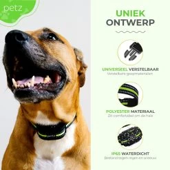 Petz - Anti Blafband - Anti Blafband Voor Kleine En Grote Honden - 5-55 KG - Vibratie En Audio - Diervriendelijk - GEEN Schokken - Opvoedingshalsband Zonder Schok En Diervriendelijk - Waterdicht - Oplaadbaar 12 Petz - Anti Blafband - Anti Blafband Voor Kleine En Grote Honden - 5-55 KG - Vibratie En Audio - Diervriendelijk - GEEN Schokken - Opvoedingshalsband Zonder Schok En Diervriendelijk - Waterdicht - Oplaadbaar -Pet Care Verkoop 1200x1200 628