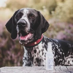 Hondenparfum Spray In 4 Geuren - Greenfields - Alchoholvrije En PH Neutrale Formule Tegen Onaangename Geurtjes - 50ml - Exotic -Pet Care Verkoop 1200x1200 64