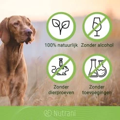 Nutrani Geurverwijderaar, 750 Ml, Natuurlijke Enzymreiniger Als Gebruiksklare Spray Met Biologische Werking, Verwijdert Geurtjes, Urine, Poep En Vlekken Van Honden En Katten -Pet Care Verkoop 1200x1200 647