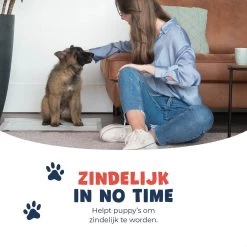 JC Pets Premium Puppy Training Pads - Hondentoilet - Zindelijkheidstraining Hond - 100 Stuks - 60 X 45 Cm -Pet Care Verkoop 1200x1200 665