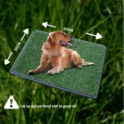 Merkloos Gtrise Hondentoilet Met 2 Matten - Out/Indoor - Zindelijkheidstraining Ebook - Dieren Wc 15 Merkloos Gtrise Hondentoilet Met 2 Matten - Out/Indoor - Zindelijkheidstraining Ebook - Dieren Wc -Pet Care Verkoop 1200x1200 697