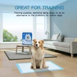 Nobleza 48WQF - Puppy Training Pads - 60 X 90 Cm - Zindelijkheidstraining -50 Stuks - L -Pet Care Verkoop 1200x1200 710