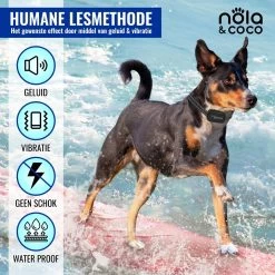 Nola & Coco® Oplaadbare Anti Blafband - 4 Kleuren - Zonder Schok - Waterdichte Diervriendelijke Blaf Halsband - Opvoedingshalsband - Voor Grote En Kleine Honden - Lichte Vibratie En Geluid - 3 Tot 60kg -Pet Care Verkoop 1200x1200 733